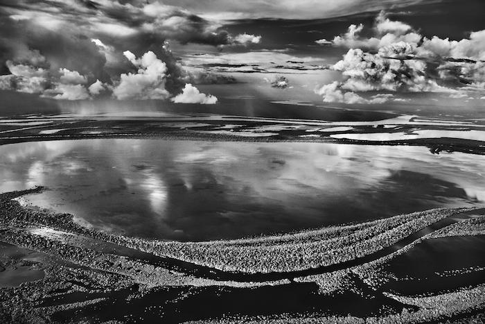 Las Anavilhanas, iles boisées del río Negro. Estado de Amazonas