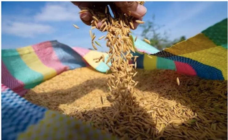 Actualités cambodgiennes de la semaine