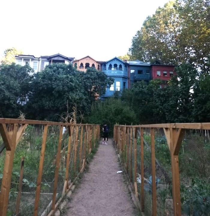 Le potager de Kuzguncuk