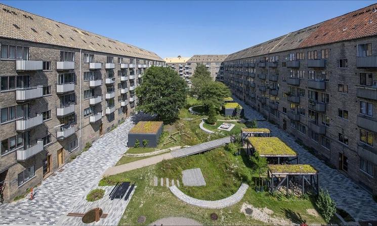 @Jean-Louis Rocheron