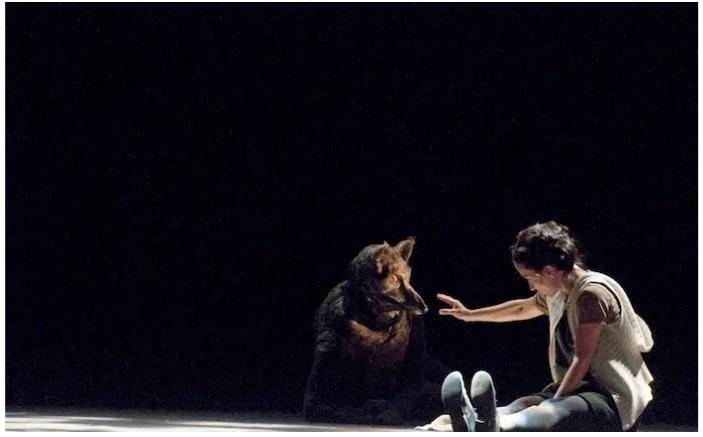 Louis Brouillard au Cambodge : quand le théâtre se veut coopération