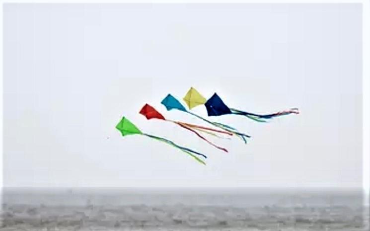 Cerf-volant à Hong Kong