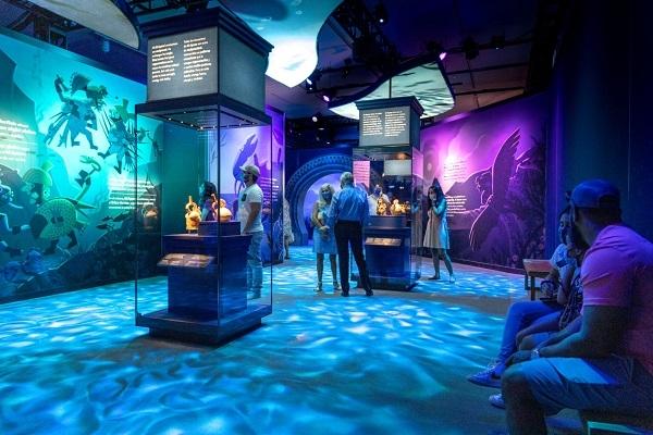 « Machu Picchu et les trésors du Pérou », une exposition événement à Paris