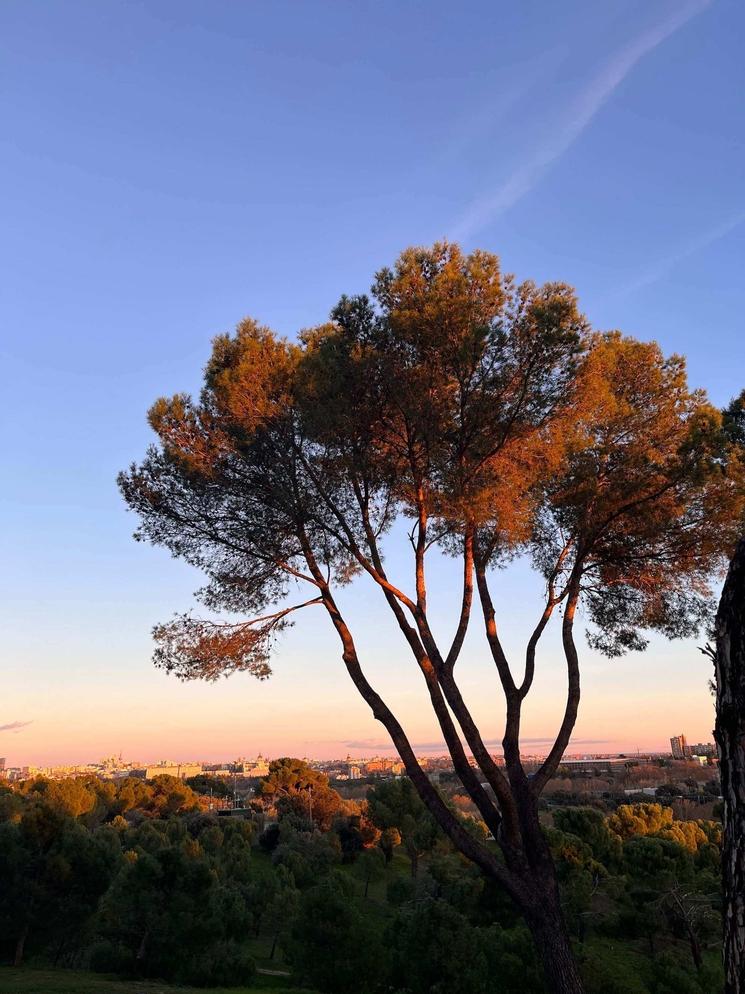 Casa de campo en coucher de soleil