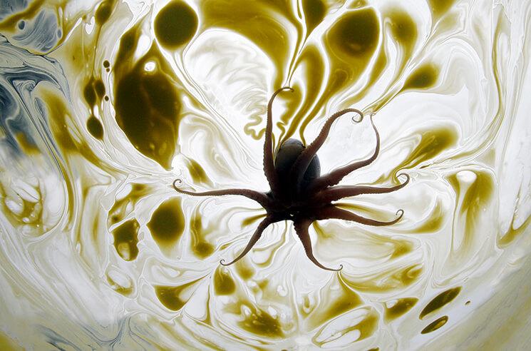 Mak Remissa_Water is Life_1.jpg