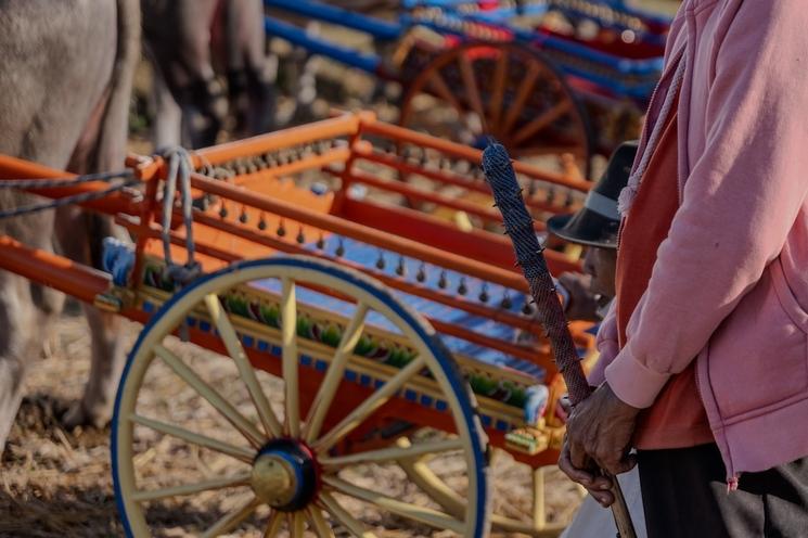 un chariot traditionnel utilisé pour les courses de buffles à jembrana, bali