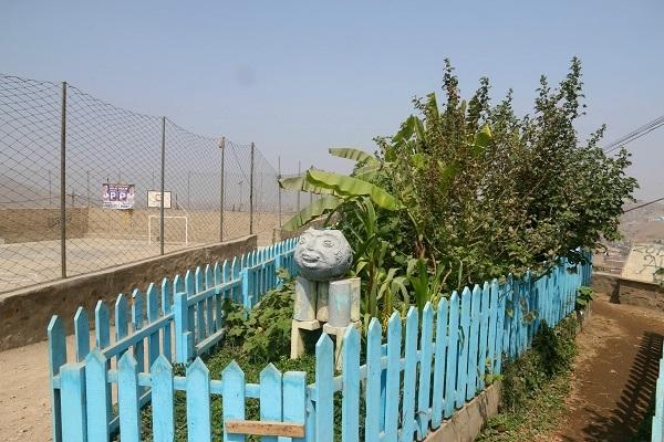 Mano a Mano, une aide sociale et environnementale dans les bidonvilles de Lima