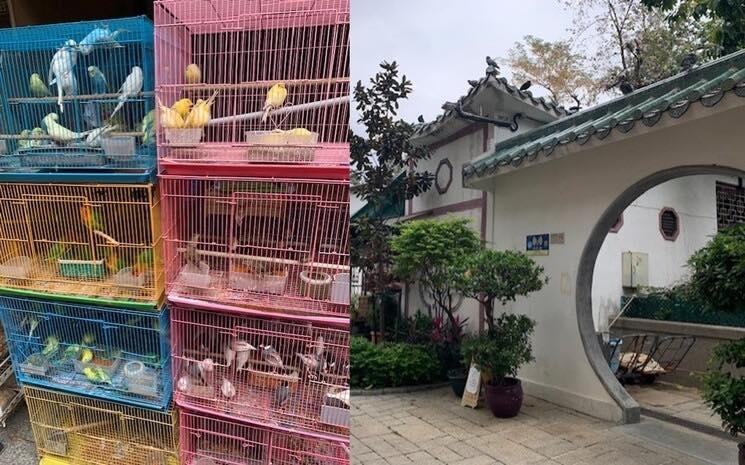 Le marche aux oiseaux de Hong Kong