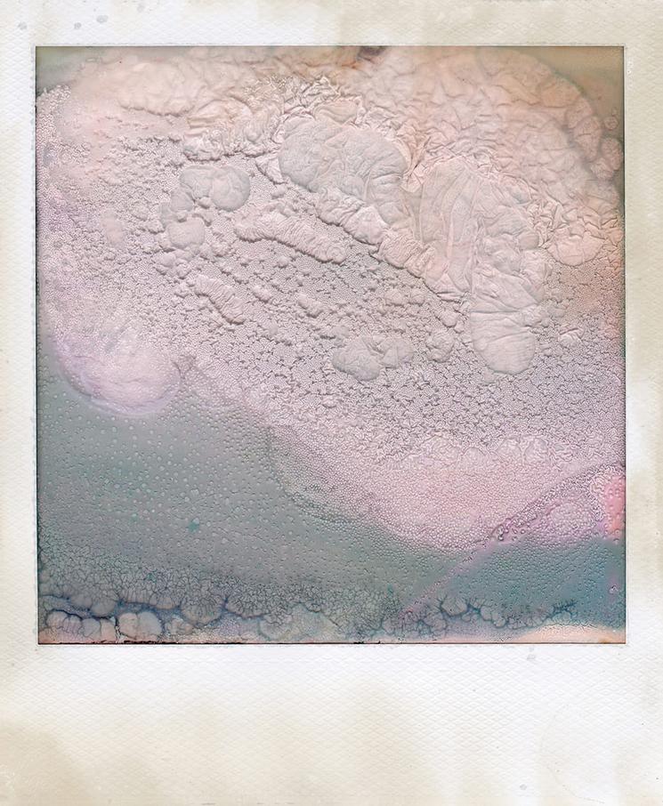 Série Toxic de Marike Schuurman