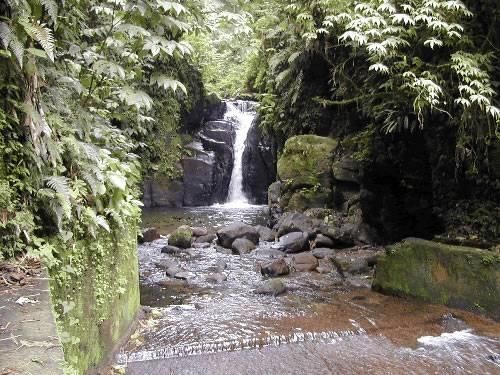 Parc naturel Martinique