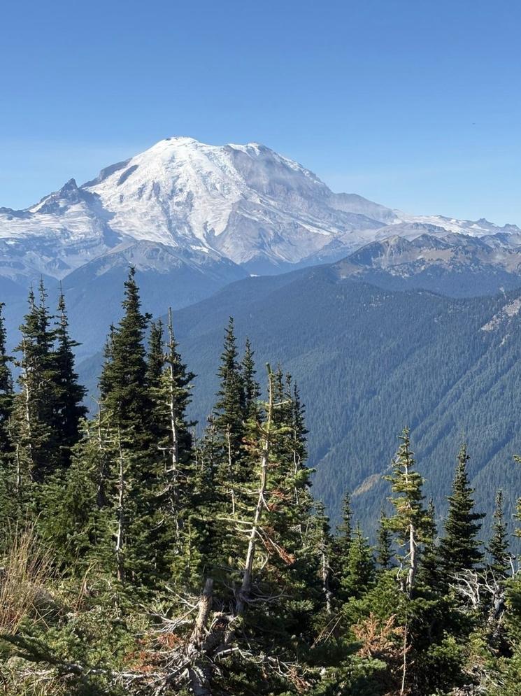Mont Rainier depuis Crystal - Crédit Sjj