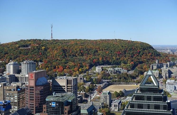 Montréal ville verte - Mont Royal