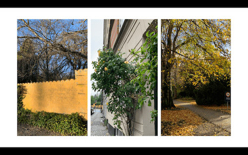 mur jaune cimetière assistent à Norrebro