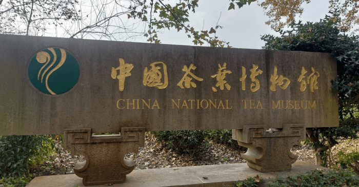 Musée du Thé à Hangzhou