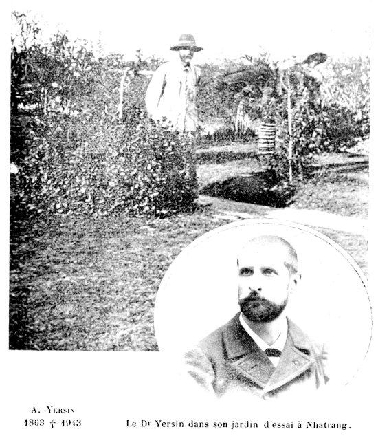 Nécrologie : Yersin dans son Jardin à Nha Trang