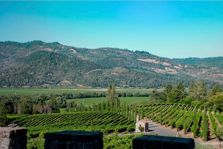 Un domaine viticole dans Napa Valley