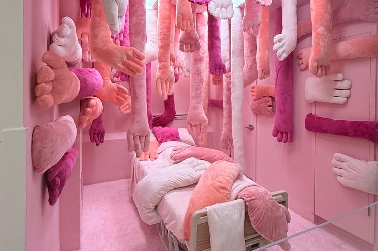 Nathalie Auzepy, « Hospital of Emotions » © Marie Fiorin