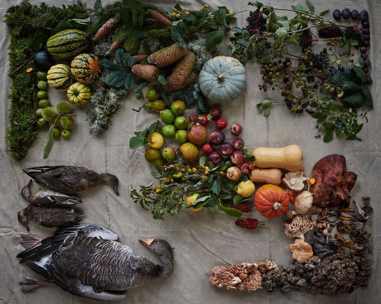 Noma menu gibier et forêt