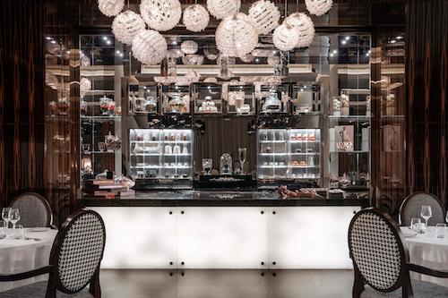 stay one and only the palm