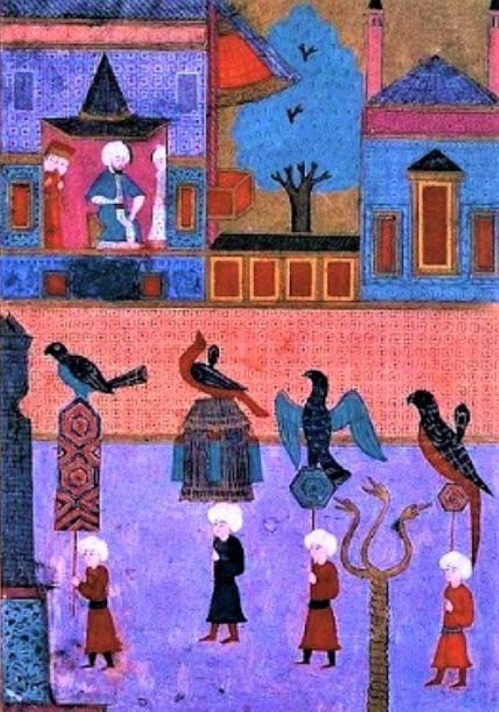 Oiseaux exotiques sur une miniature