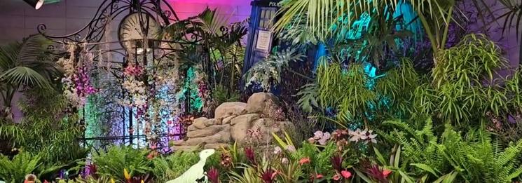 Les plantes du Orchid Festival ~a San Francisco