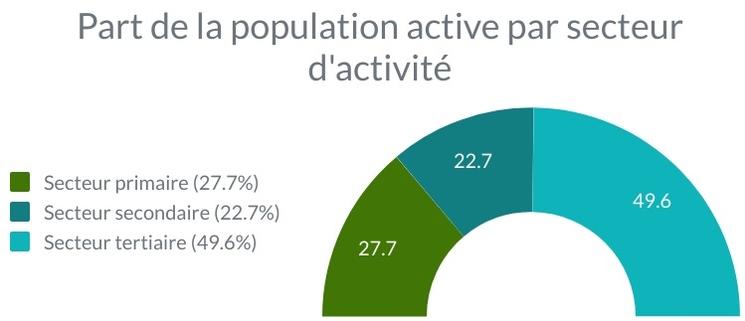repartition populaltion active indonesie