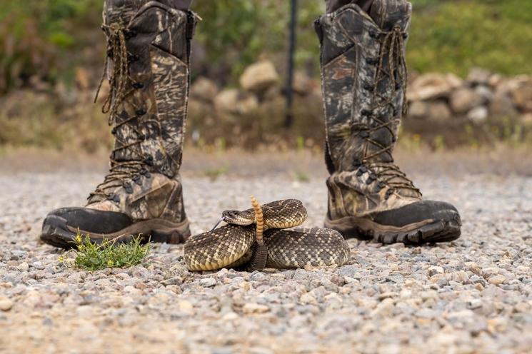 Bruce Ireland with a rattle snake