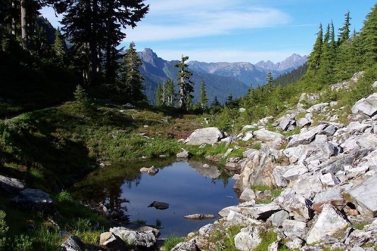 Parc national Olympique, un des sites inscrits à l'unesco aux etats unis