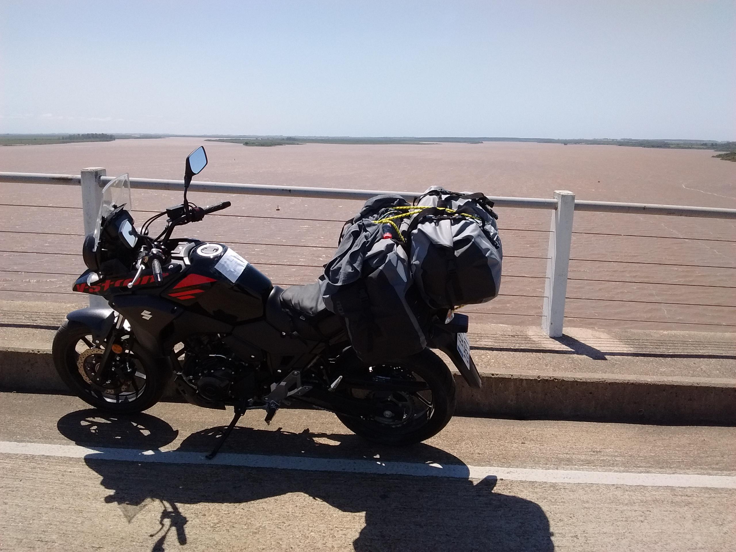 sebastien fantini oiseau rouge