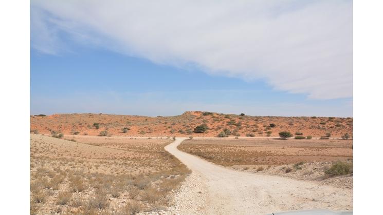 paysage du Kalahari