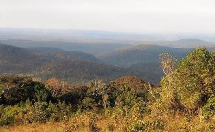 Paysages du Mondulkiri Photo_Wikirictor