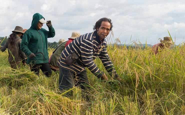Paysan Bunong au Cambodge