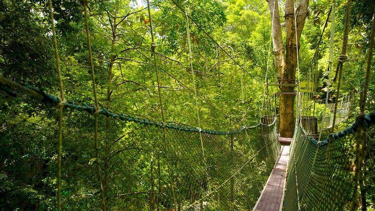 penang-national-park