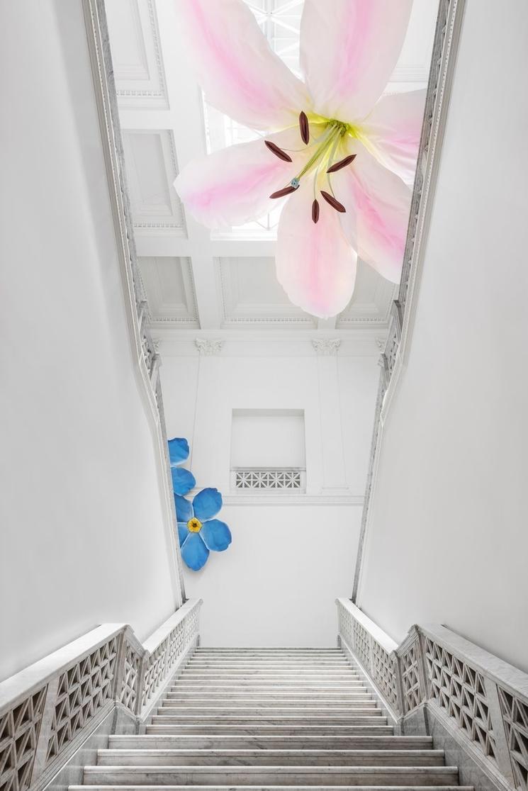 Des fleurs dans un musée