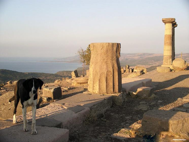 Le site d'Assos Turquie
