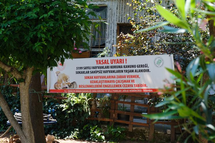 Heybeliada îles aux Princes princes Island Istanbul animaux