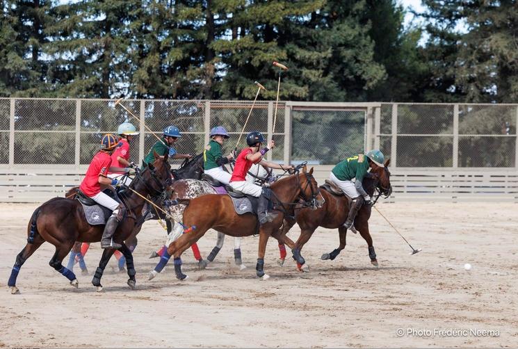 Des cavaliers durant un tournoi de polo