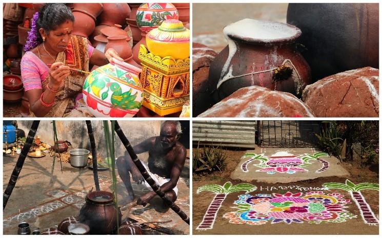 Le pot et les rangolis pour Pongal dans le Tamil Nadu