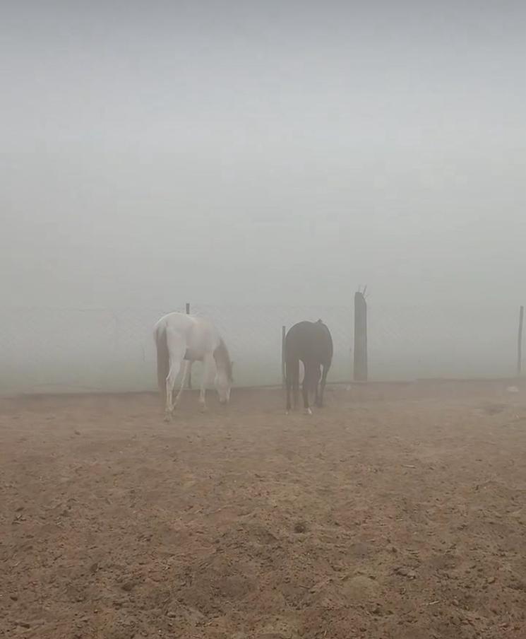 Problèmes de pollution