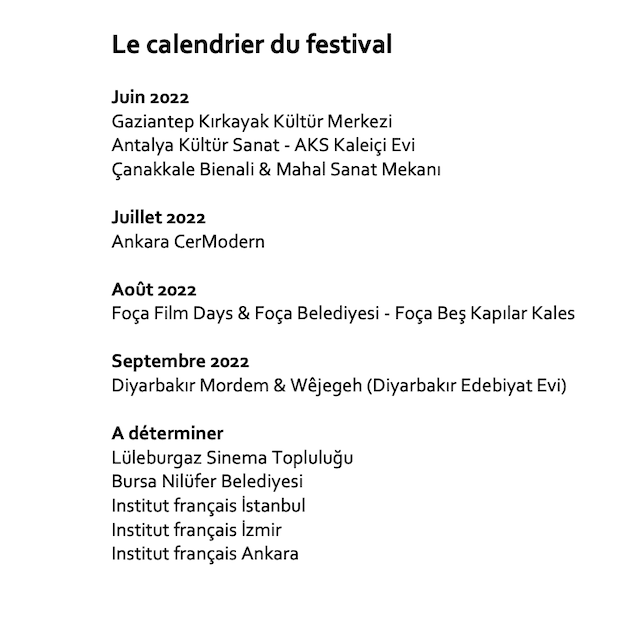 semaine cinéma turquie