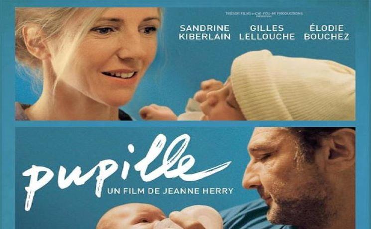 Que faire à Auckland