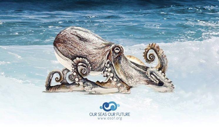 Que faire à Auckland