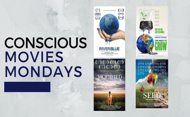 Que faire à Auckland