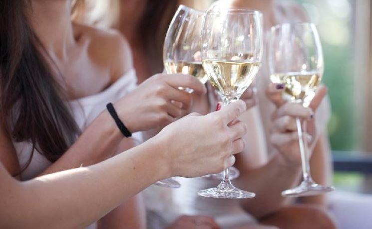 Que faire à Auckland