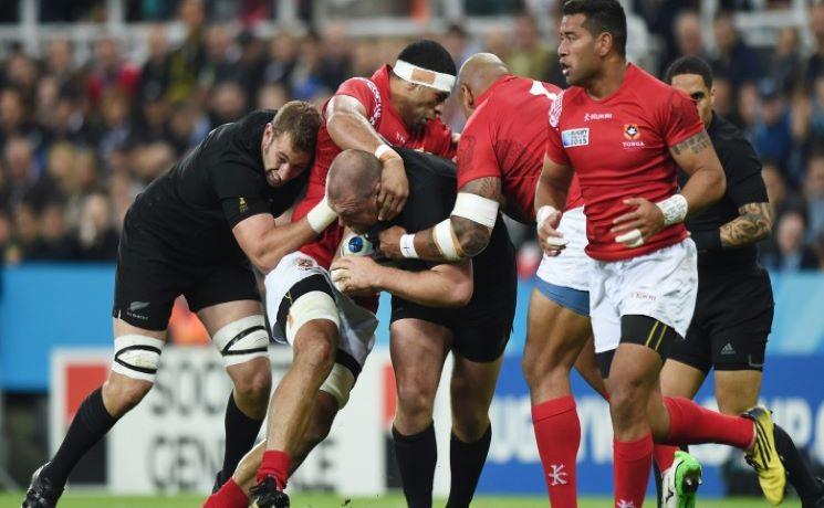 Que faire à Auckland