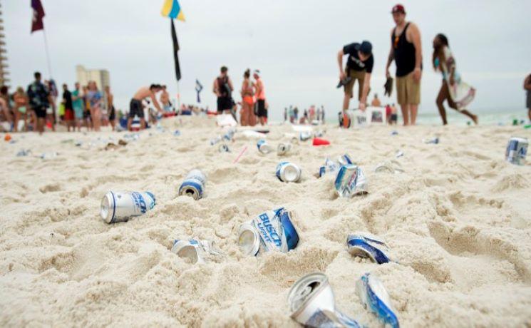 Que faire à Auckland