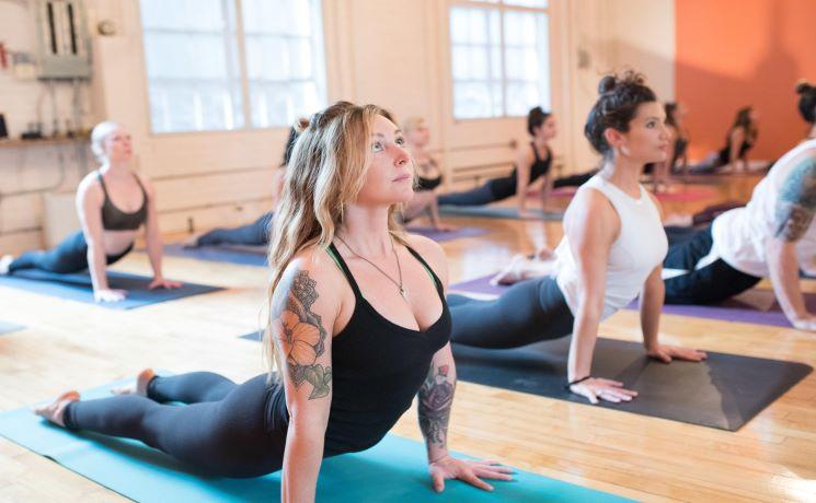 Que faire à Auckland