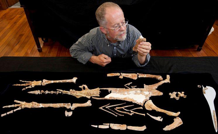 Que faire à Wellington