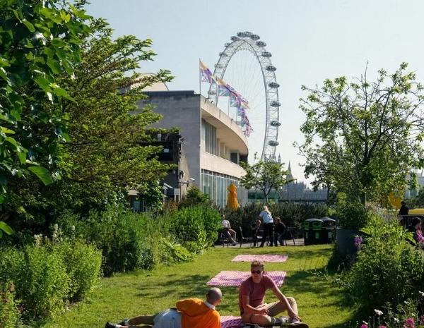 Queen Elizabeth Hall Roof Garden, plus beaux points de vue gratuits