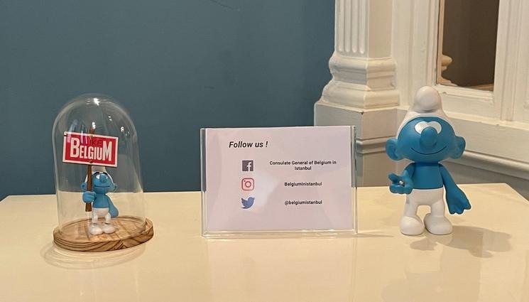 Réseaux sociaux belgique